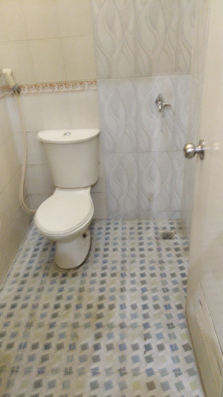 jpg